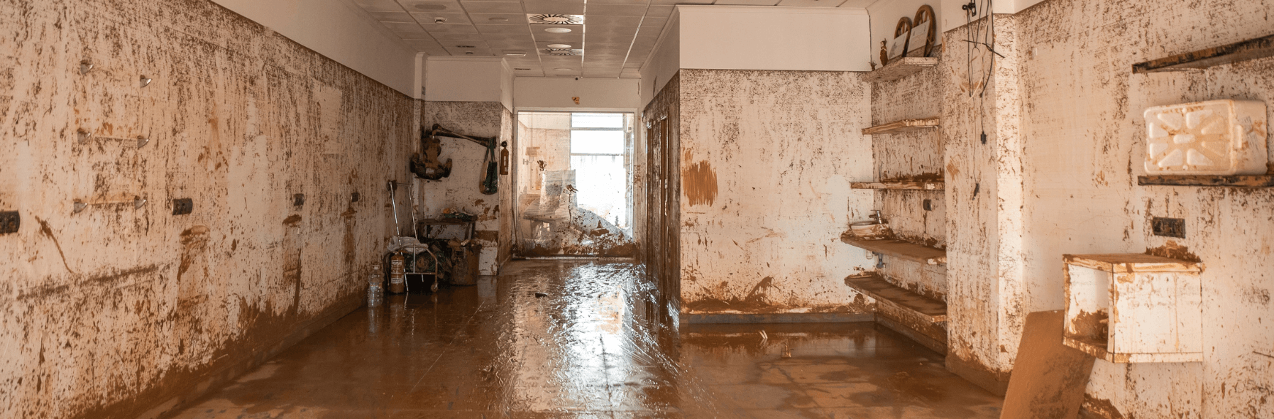 A flooded commercial building in Tampa, FL