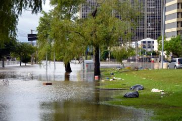 Commercial flood insurance for Tampa businesses